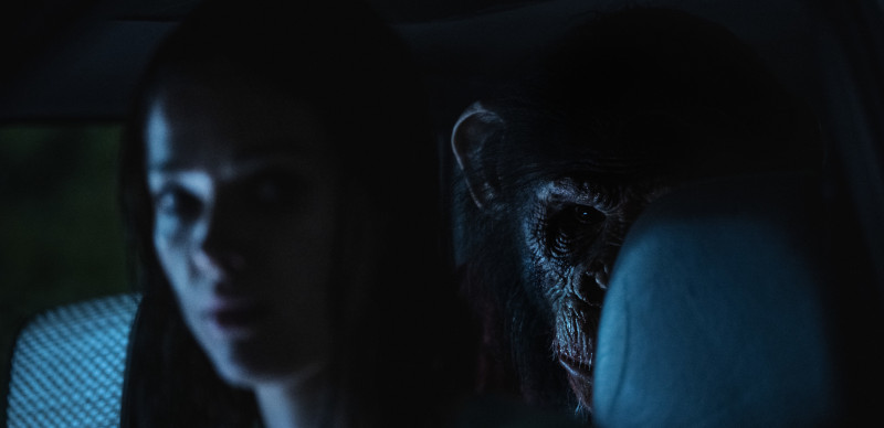 PRIMATE - Now Playing